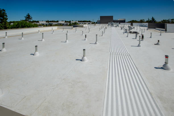 Roof Insulation in Gonzales, LA